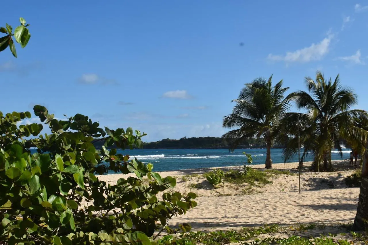 Kaz A Klemence Gite Creole Avec Piscine Et Table Dhotes A Anse Bertrand Guadeloupe
