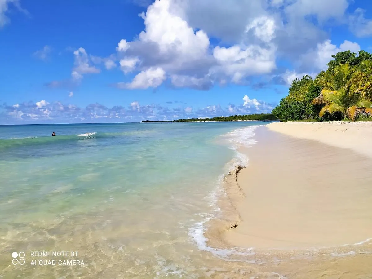 Kaz A Klemence Gite Creole Avec Piscine Et Table Dhotes A Anse Bertrand Anse-Bertrand