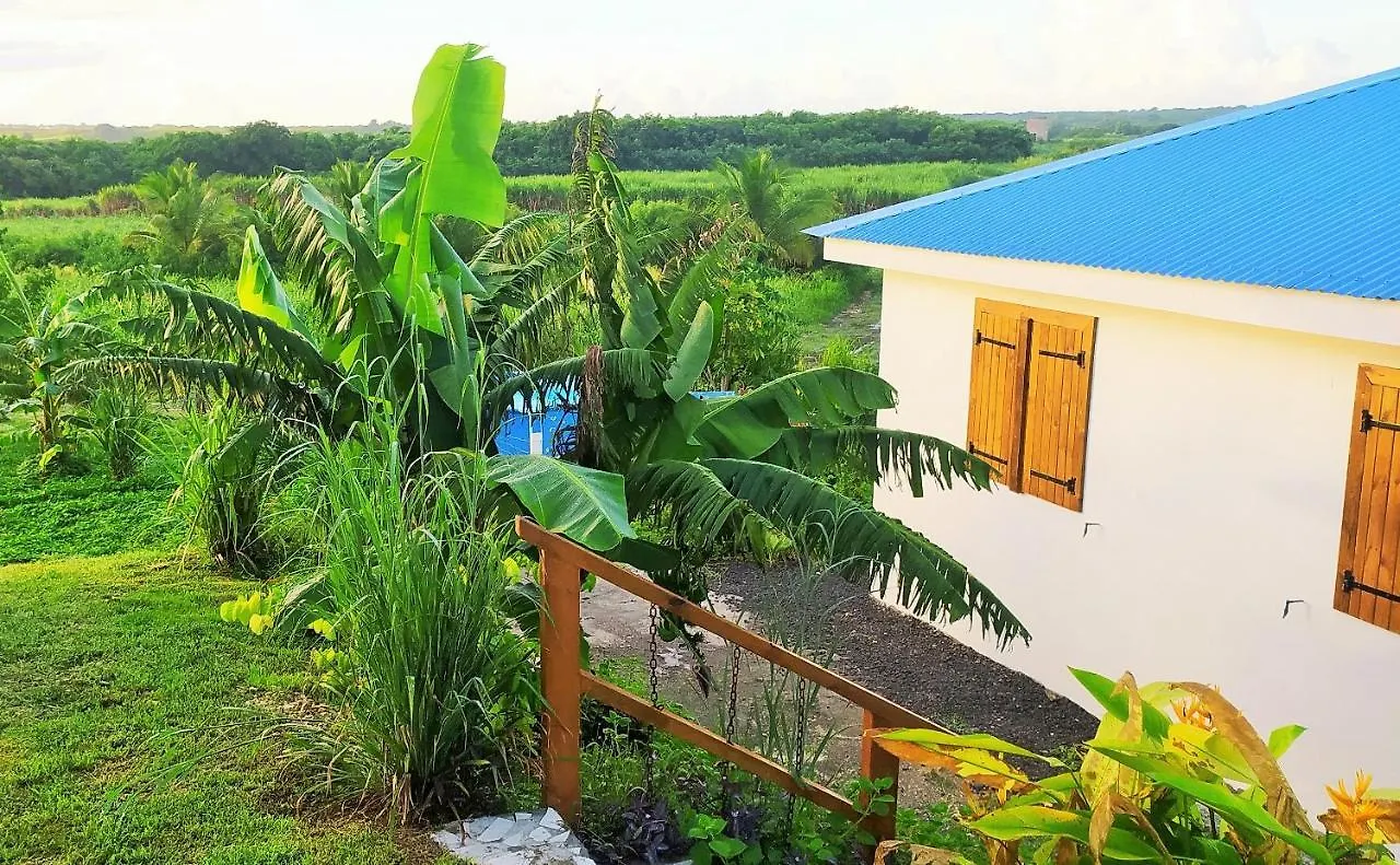 Kaz A Klemence Gite Creole Avec Piscine Et Table Dhotes A Anse Bertrand Anse-Bertrand