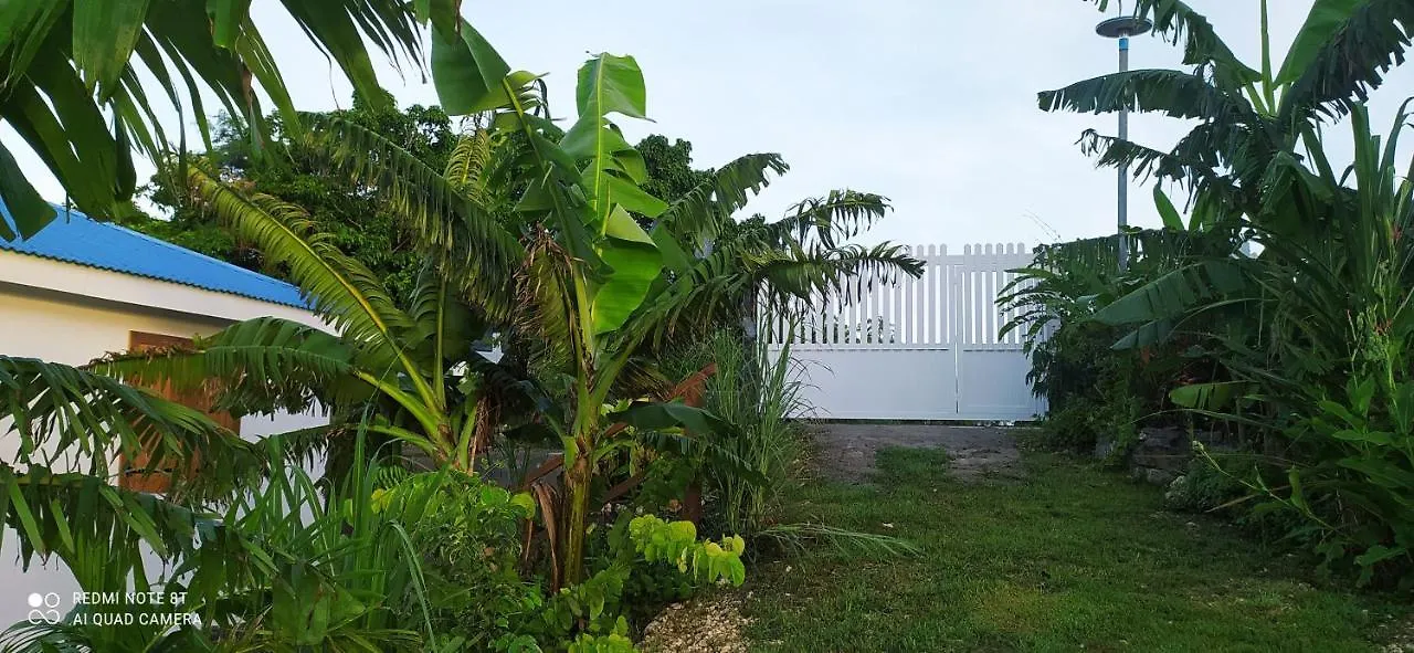 Kaz A Klemence Gite Creole Avec Piscine Et Table Dhotes A Anse Bertrand Holiday home