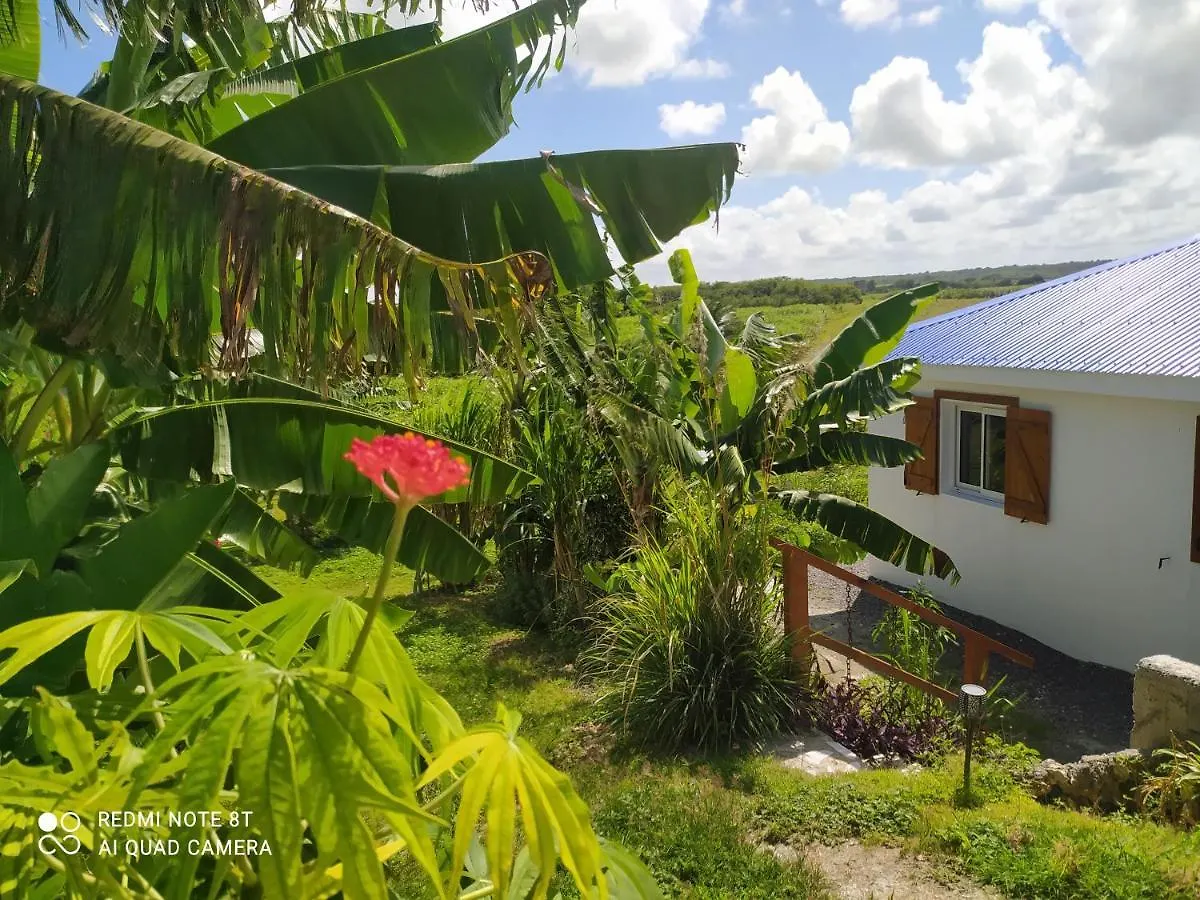 Kaz A Klemence Gite Creole Avec Piscine Et Table Dhotes A Anse Bertrand 0*, Anse-Bertrand Guadeloupe