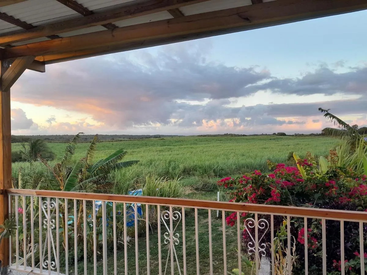 Holiday home Kaz A Klemence Gite Creole Avec Piscine Et Table Dhotes A Anse Bertrand