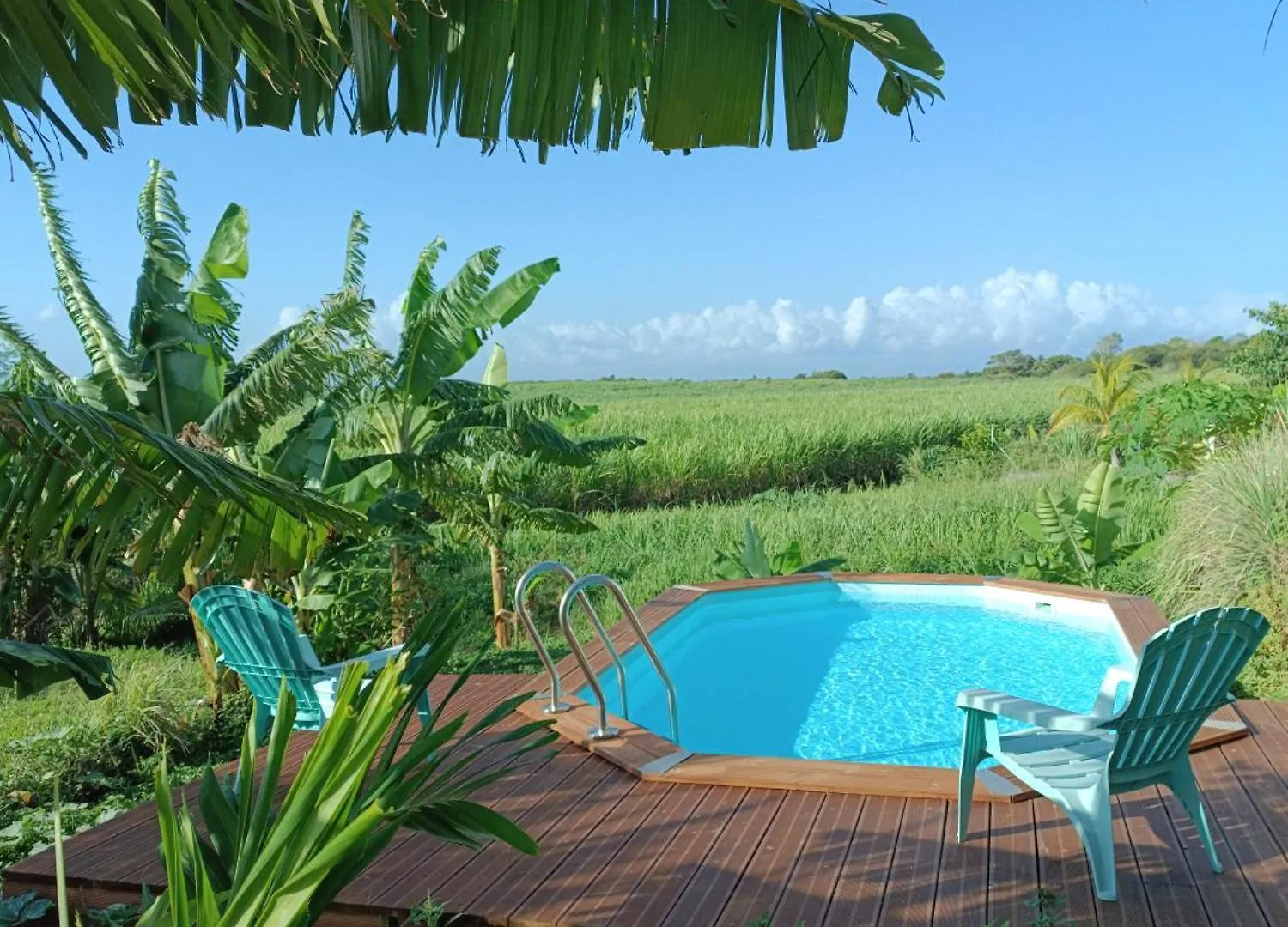 Kaz A Klemence Gite Creole Avec Piscine Et Table Dhotes A Anse Bertrand Guadeloupe