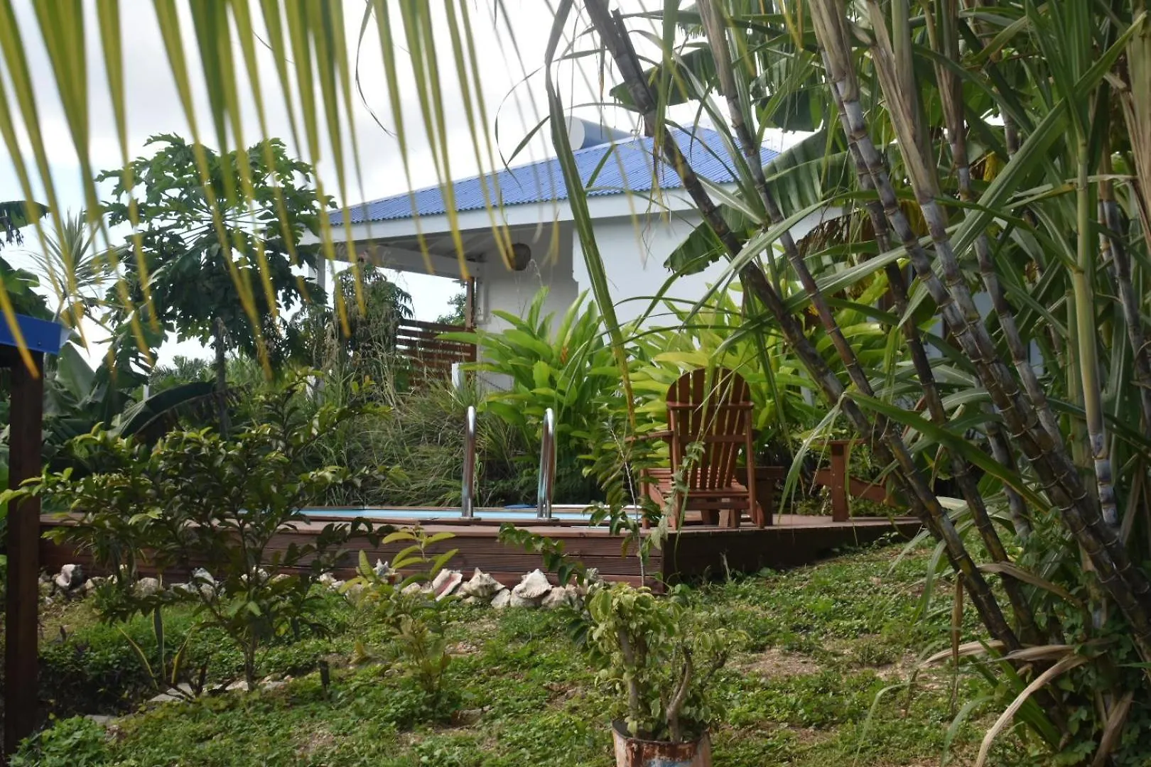 Kaz A Klemence Gite Creole Avec Piscine Et Table Dhotes A Anse Bertrand Holiday home