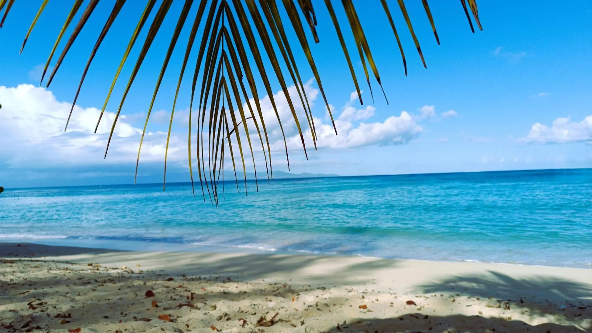 Holiday home Kaz A Klemence Gite Creole Avec Piscine Et Table Dhotes A Anse Bertrand