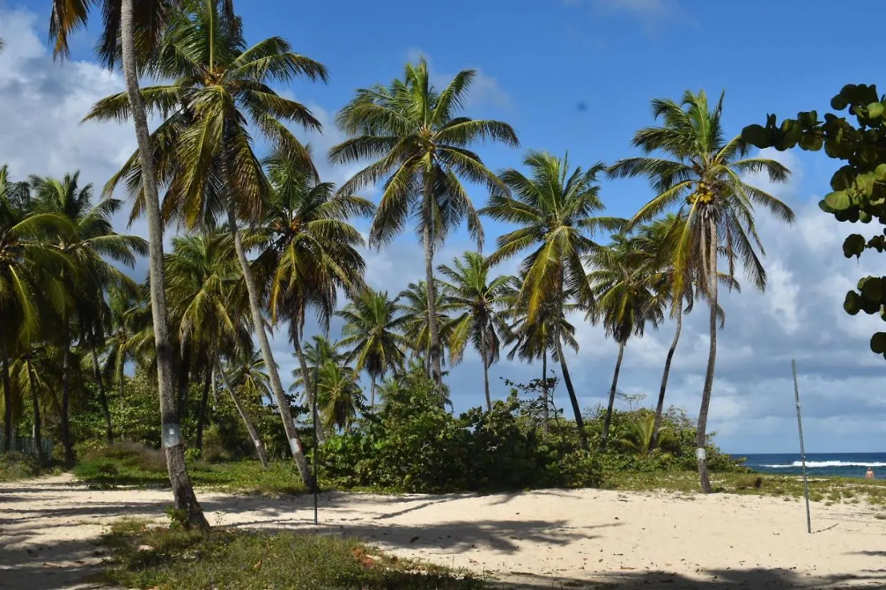 Holiday home Kaz A Klemence Gite Creole Avec Piscine Et Table Dhotes A Anse Bertrand