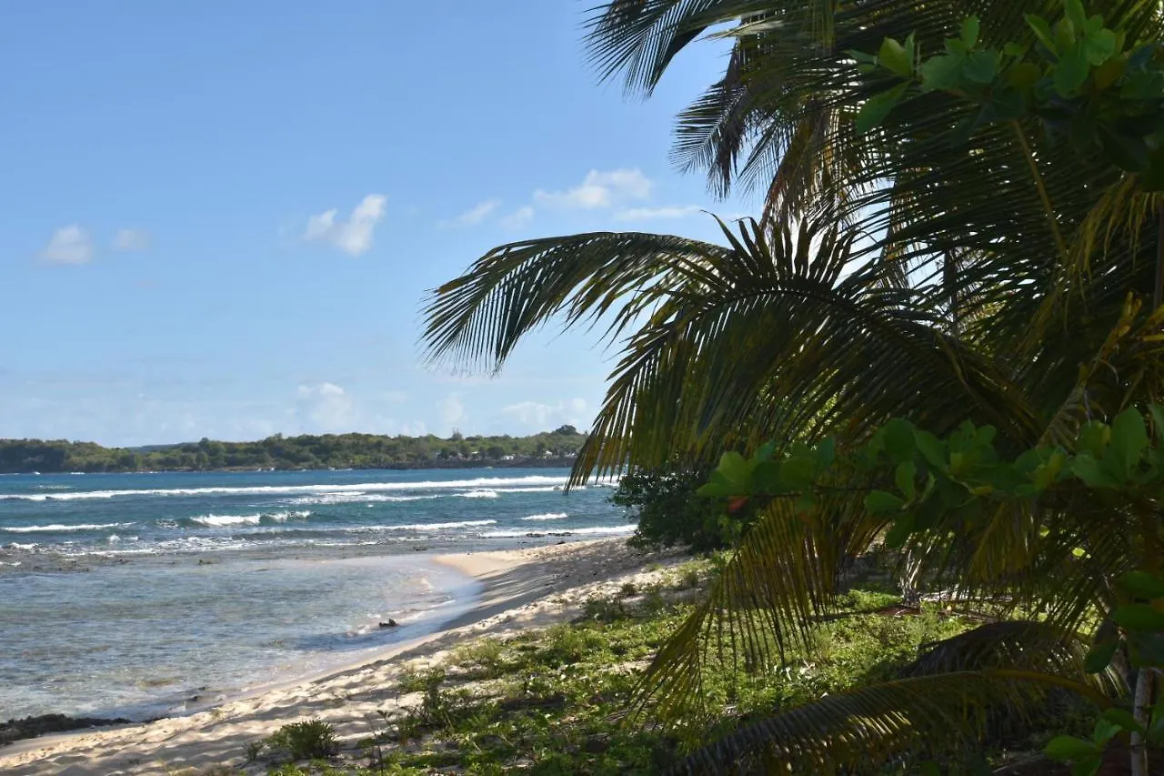 Kaz A Klemence Gite Creole Avec Piscine Et Table Dhotes A Anse Bertrand 0*, Anse-Bertrand غوادلوب
