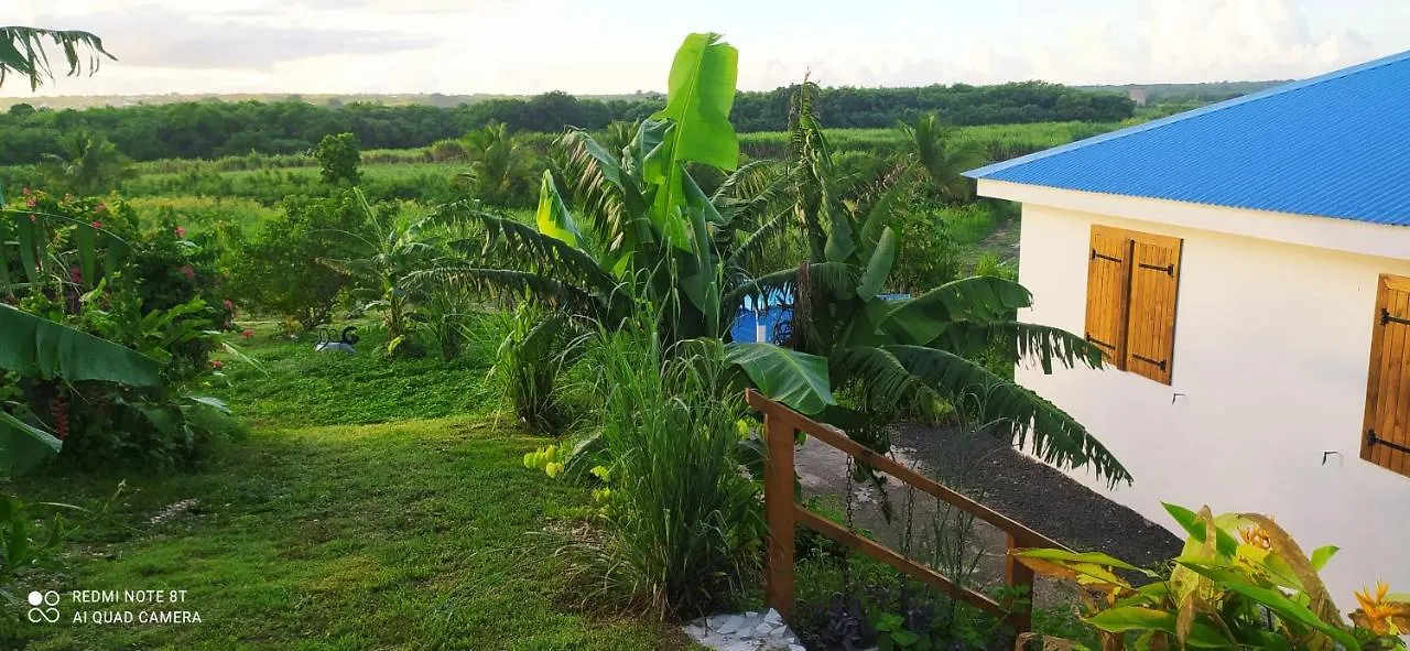 بيت للعطل Kaz A Klemence Gite Creole Avec Piscine Et Table Dhotes A Anse Bertrand