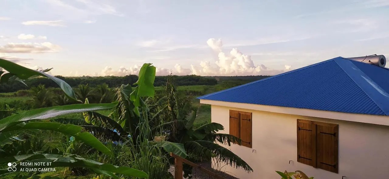 Kaz A Klemence Gite Creole Avec Piscine Et Table Dhotes A Anse Bertrand Anse-Bertrand