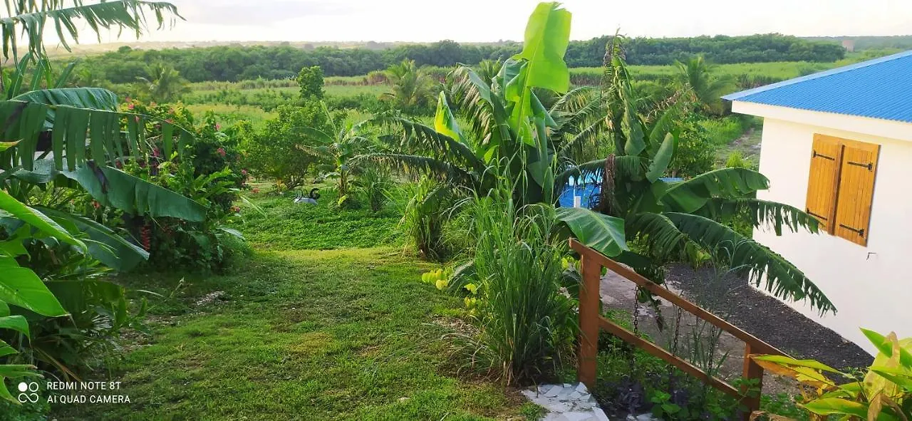 Kaz A Klemence Gite Creole Avec Piscine Et Table Dhotes A Anse Bertrand بيت للعطل