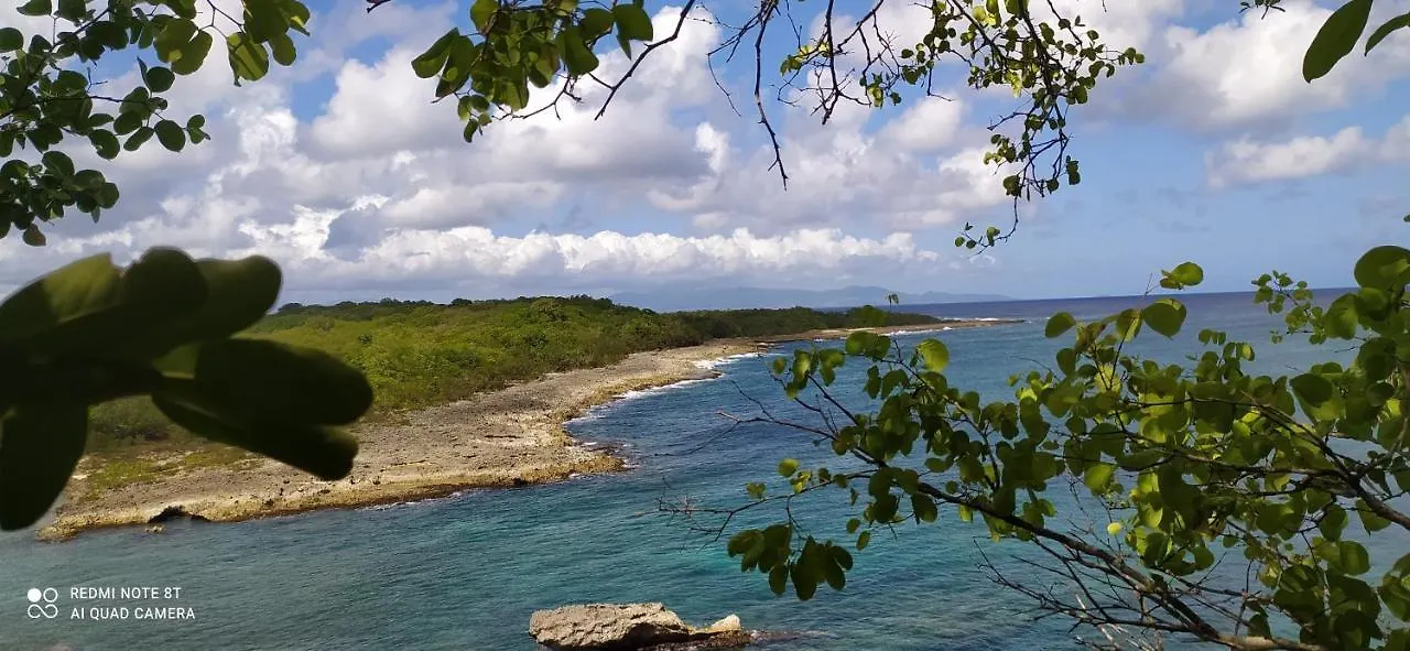 Kaz A Klemence Gite Creole Avec Piscine Et Table Dhotes A Anse Bertrand غوادلوب