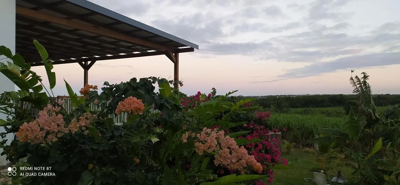 Kaz A Klemence Gite Creole Avec Piscine Et Table Dhotes A Anse Bertrand بيت للعطل Anse-Bertrand