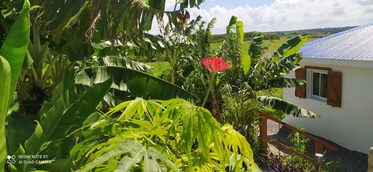 بيت للعطل Kaz A Klemence Gite Creole Avec Piscine Et Table Dhotes A Anse Bertrand غوادلوب