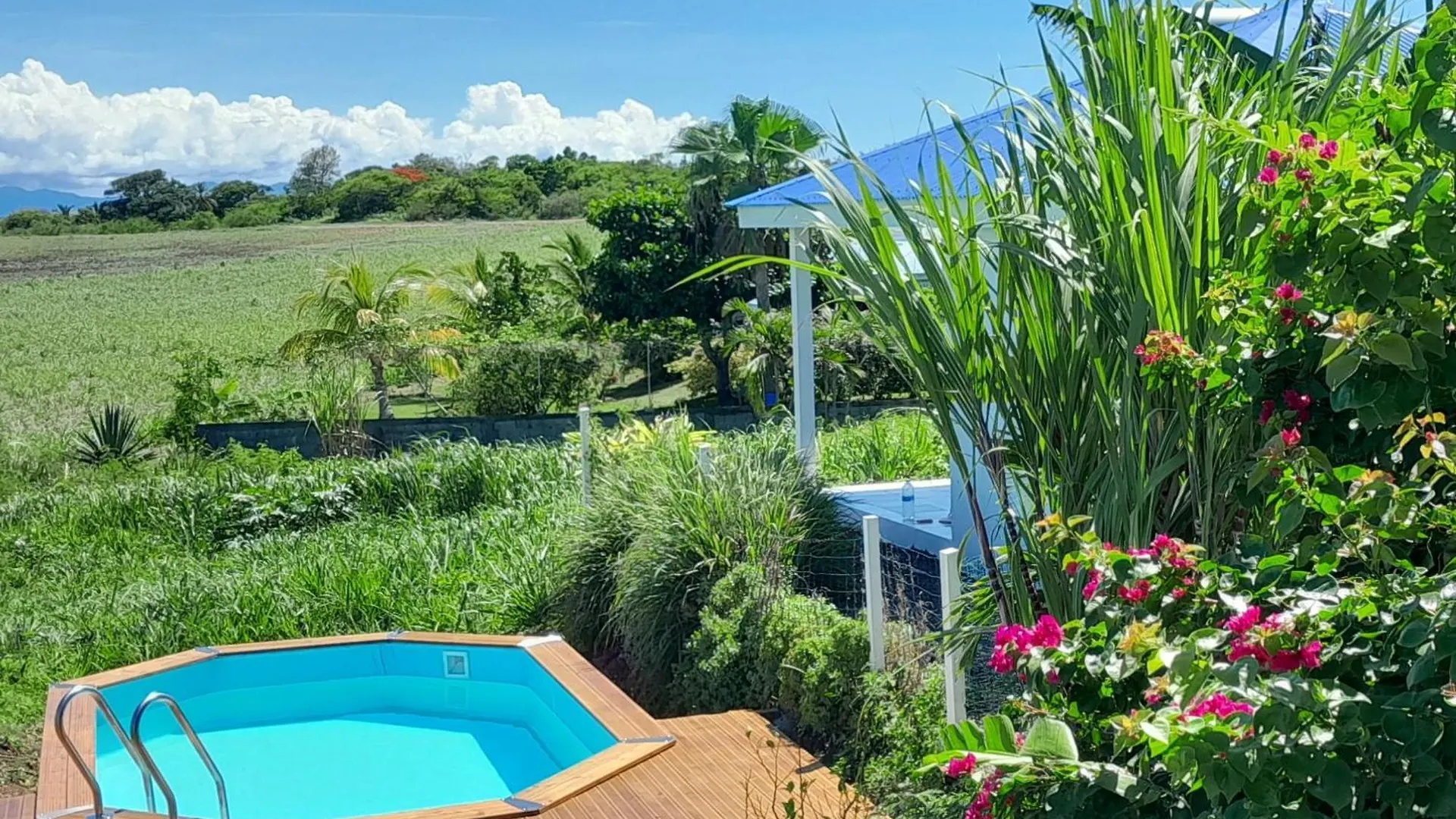 بيت للعطل Kaz A Klemence Gite Creole Avec Piscine Et Table Dhotes A Anse Bertrand