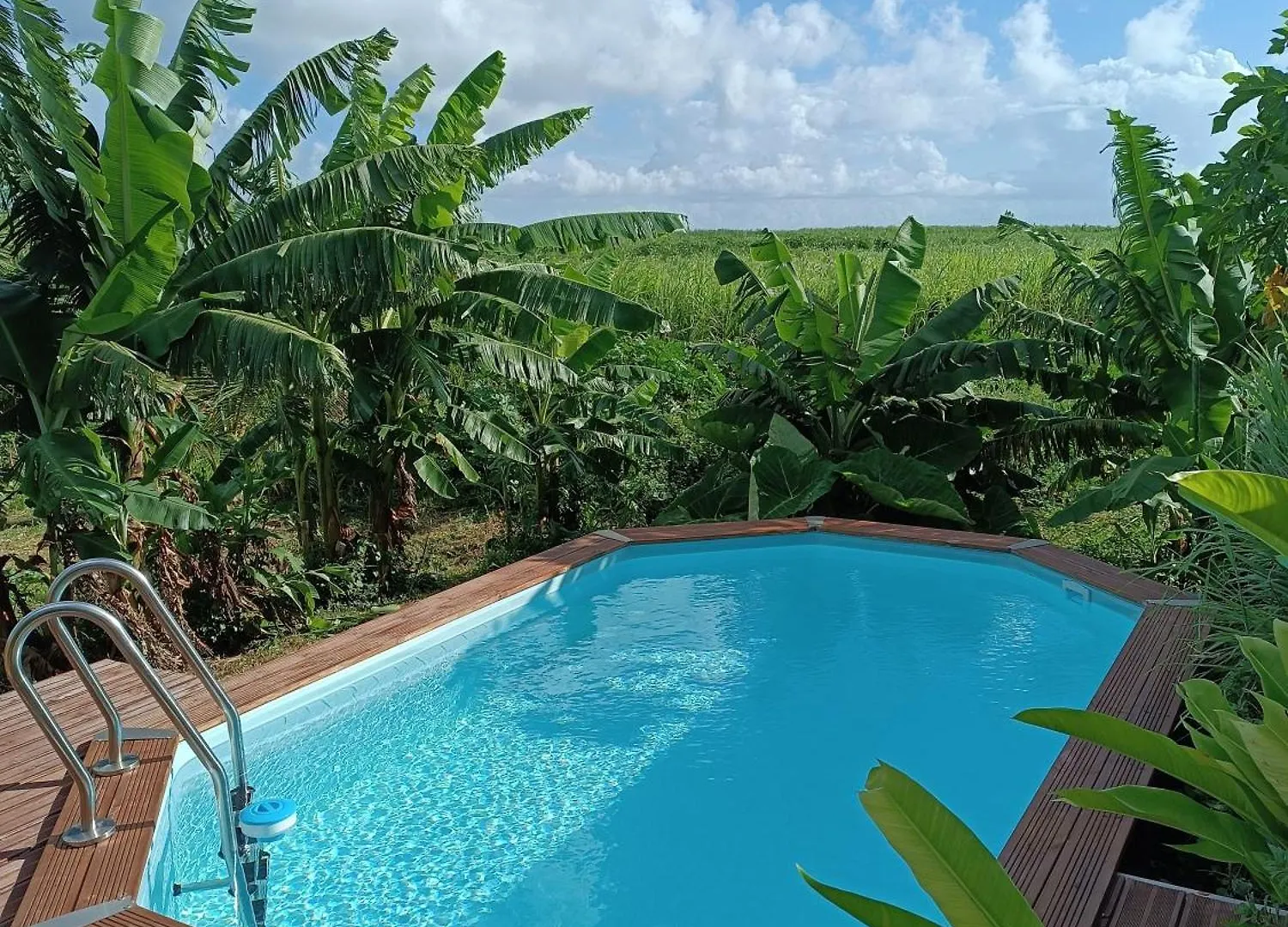 بيت للعطل Kaz A Klemence Gite Creole Avec Piscine Et Table Dhotes A Anse Bertrand غوادلوب