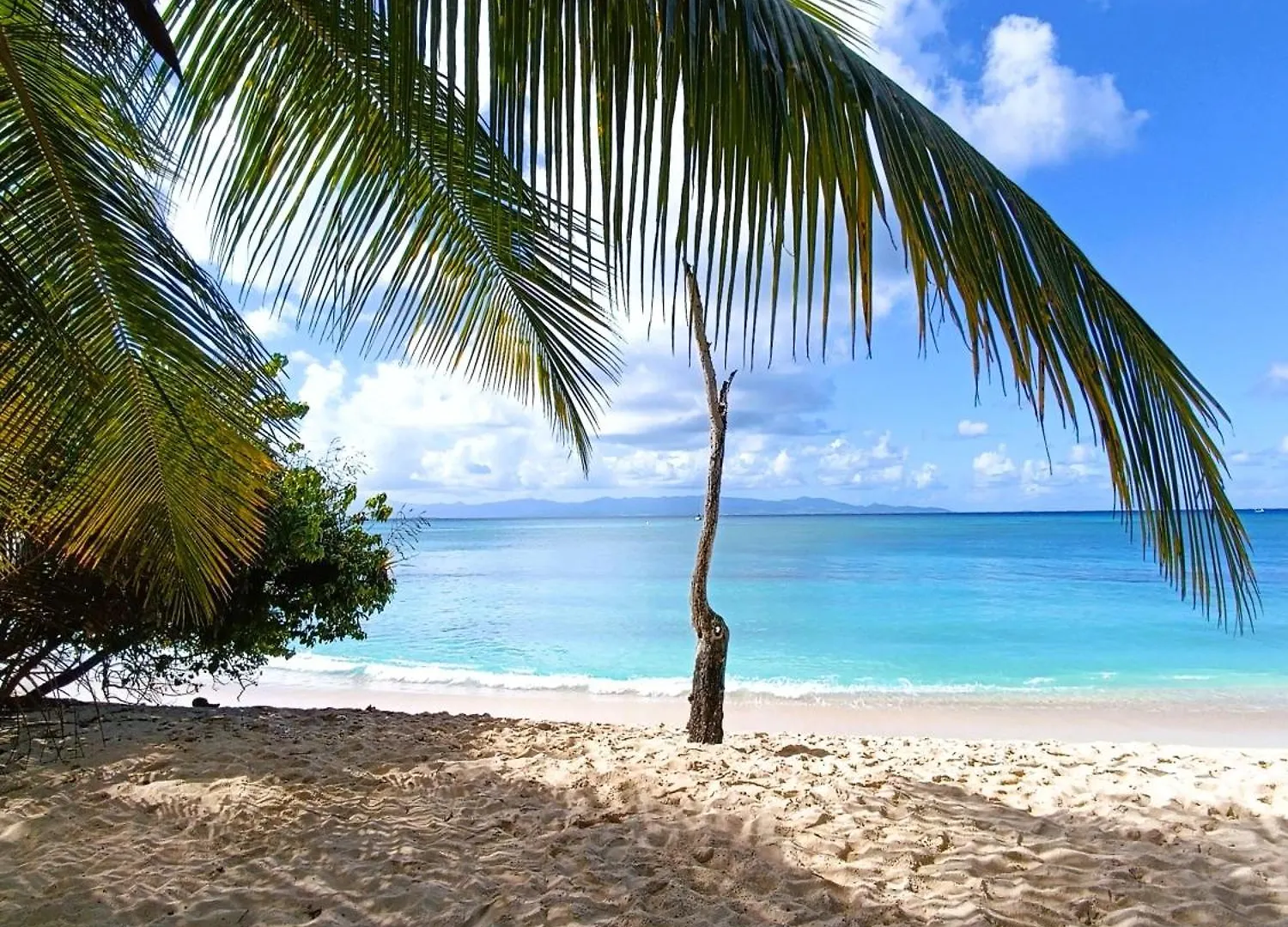 Kaz A Klemence Gite Creole Avec Piscine Et Table Dhotes A Anse Bertrand بيت للعطل Anse-Bertrand