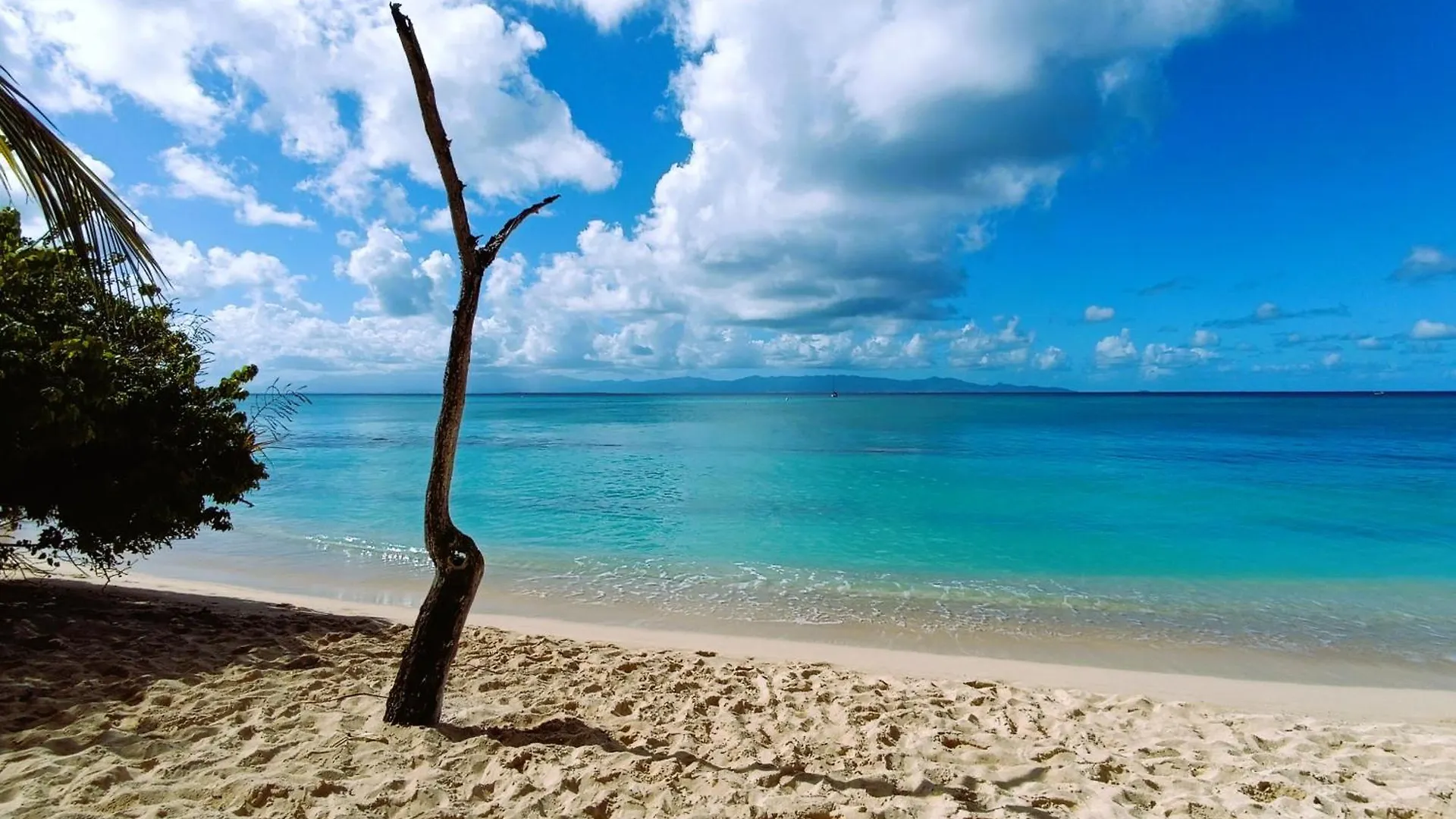 Kaz A Klemence Gite Creole Avec Piscine Et Table Dhotes A Anse Bertrand 0*, Anse-Bertrand Guadeloupe